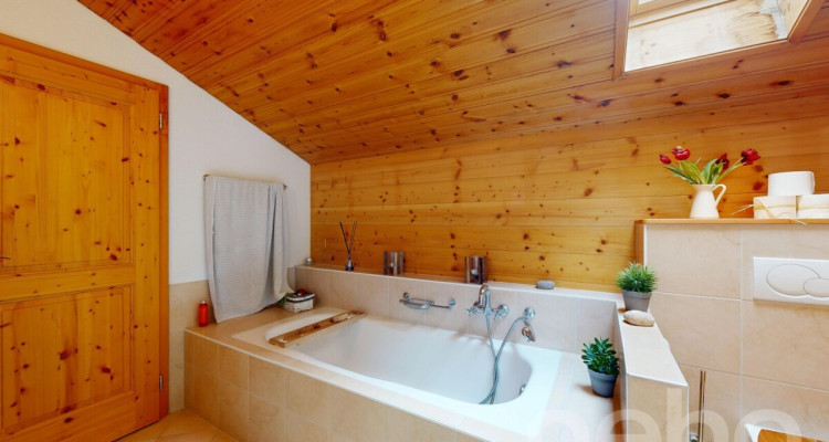 Magnifique chalet dans le hameau de Veyges image 7