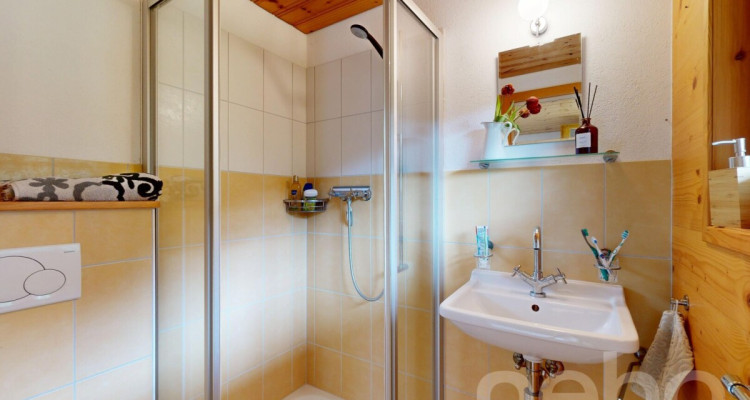 Magnifique chalet dans le hameau de Veyges image 10