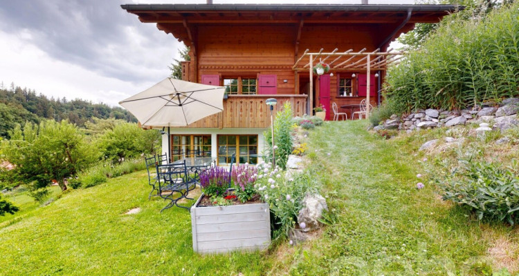 Magnifique chalet dans le hameau de Veyges image 11
