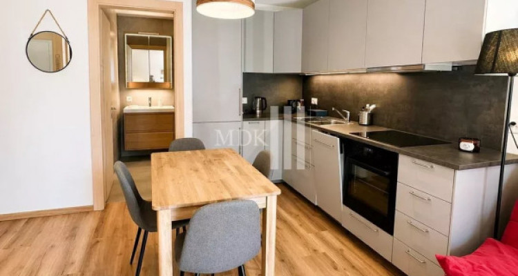 Appartement neuf à louer 2.5 p à Champéry image 2