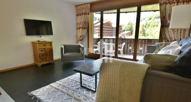 Appartement meublé à louer à lannée ! image 1
