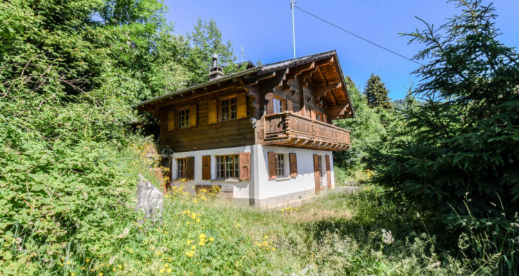 Chalet avec vue imprenable à Val-dIlliez image 12