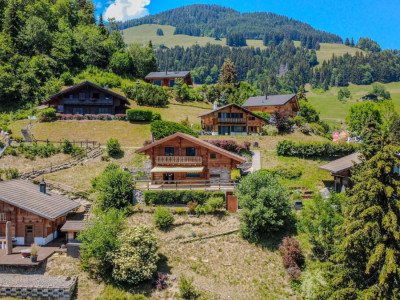 Chalet avec vue spectaculaire sur les Dents-du-Midi image 3