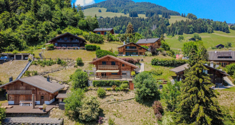 Chalet avec vue spectaculaire sur les Dents-du-Midi image 3