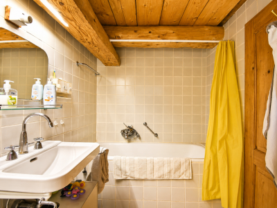 Opportunité! Magnifique logement dans un chalet authentique image 12