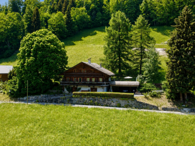 Magnifique chalet avec vue sur les Dents du Midi image 4