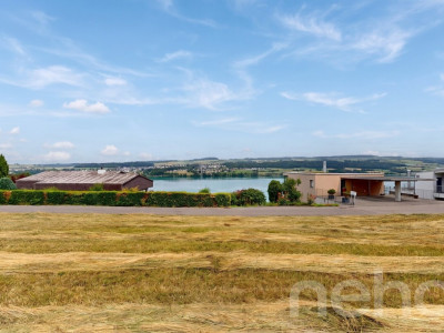 631 m² Grundstück mit Blick auf den Hallwilersee image 3