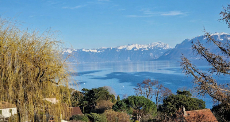 En exclusivité, Abby Bryand immobilier : Magnifique maison vue lac à Buchillon image 2