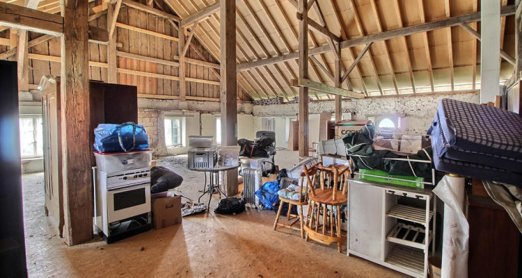 Grande maison en viager semi-occupé sans rente avec grand potentiel image 11