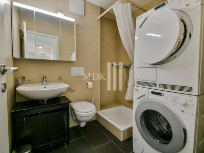 Magnifique appartement traversant image 11