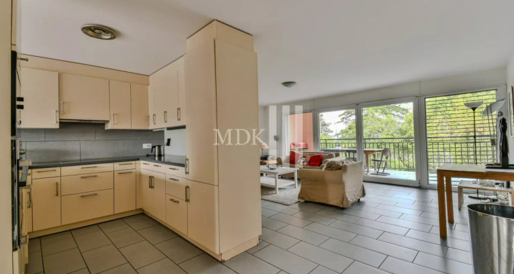 Magnifique appartement traversant image 3