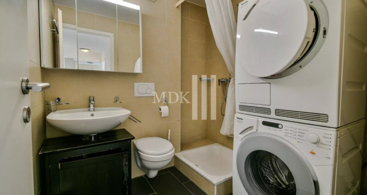 Magnifique appartement traversant image 11