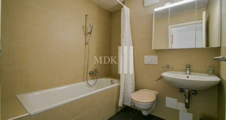 Magnifique appartement traversant image 12