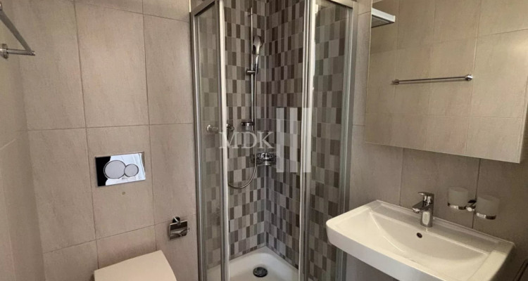 À louer un appartement de 1.5 pièces au 4ème étage image 6
