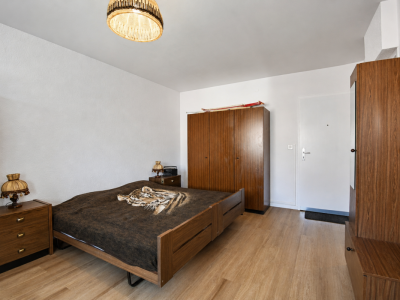 Idéal investisseur : Beau studio rénové déjà loué image 2