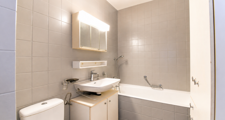 Idéal investisseur : Beau studio rénové déjà loué image 6
