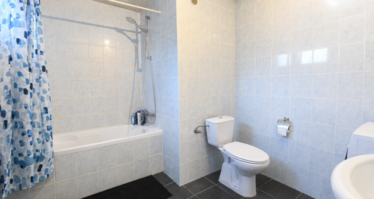 Spacieux appartement traversant image 7