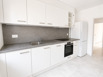 Grand appartement de 3.5 pièces à louer proche de toutes les commodités image 5