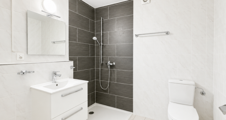 Grand appartement de 3.5 pièces à louer proche de toutes les commodités image 3
