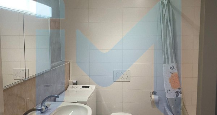 Appartement de 4,5 pièces au 5eme étage situé à Genève 1205 image 9