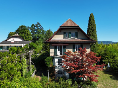 Magnifique appartement de 3 pièces avec jardin et vue ! image 1