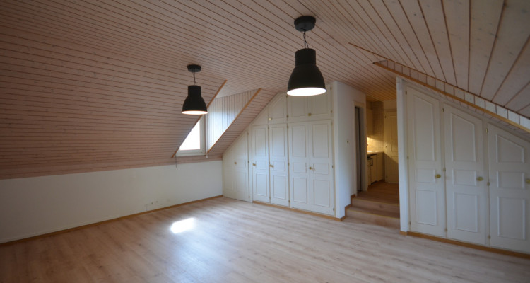 SAINT-PREX - DEUX VILLAS AU BORD DU LÉMAN, AVEC ACCÈS PRIVATIF AU LAC image 7