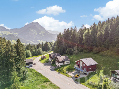6.5-Zimmer-Einfamilienhaus in naturnaher Lage am Fusse des Säntis image 2