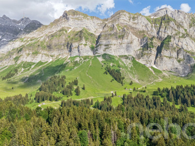 6.5-Zimmer-Einfamilienhaus in naturnaher Lage am Fusse des Säntis image 9