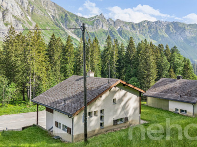 6.5-Zimmer-Einfamilienhaus in naturnaher Lage am Fusse des Säntis image 10