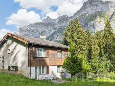 6.5-Zimmer-Einfamilienhaus in naturnaher Lage am Fusse des Säntis image 11
