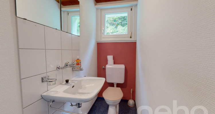 6.5-Zimmer-Einfamilienhaus in naturnaher Lage am Fusse des Säntis image 8