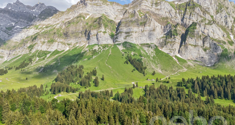 6.5-Zimmer-Einfamilienhaus in naturnaher Lage am Fusse des Säntis image 9