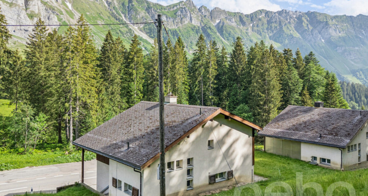 6.5-Zimmer-Einfamilienhaus in naturnaher Lage am Fusse des Säntis image 10