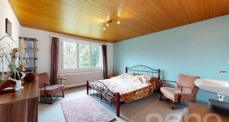 6.5-Zimmer-Einfamilienhaus in naturnaher Lage am Fusse des Säntis image 12