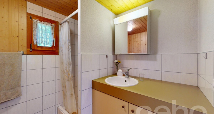 Ferienhaus mit Panorama ? Ruhe und Weitsicht in Sternenberg image 7