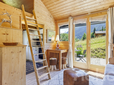 Chalet authentique + dépendance de charme image 9