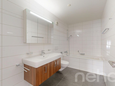 Appartement rénové avec vue sur le lac! image 9