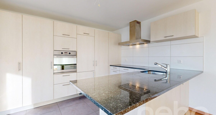 Appartement rénové avec vue sur le lac! image 4