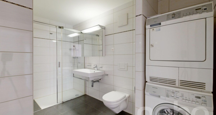Appartement rénové avec vue sur le lac! image 8