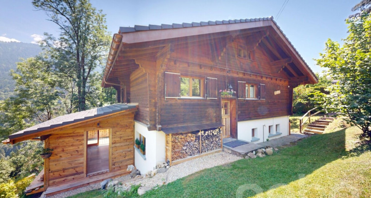 Exclusif: magnifique chalet de 2 appartements image 2