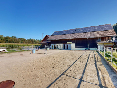 Ideale Pferdeliegenschaft mit 3 Wohnungen in Bischofszell image 10