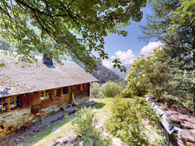 Authentique chalet dalpage ? Déconnexion totale et charme alpin image 2