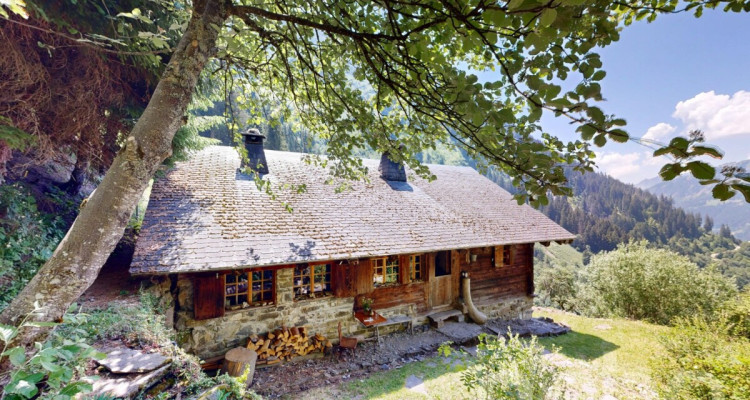 Authentique chalet dalpage ? Déconnexion totale et charme alpin image 1