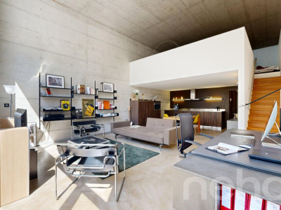 Unique : Duplex contemporain / grand balcon ouest / vue lac partielle image 1
