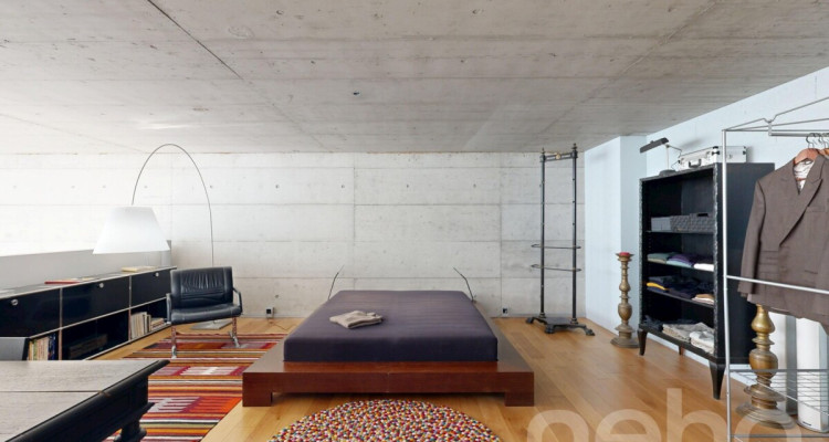 Unique : Duplex contemporain / grand balcon ouest / vue lac partielle image 10