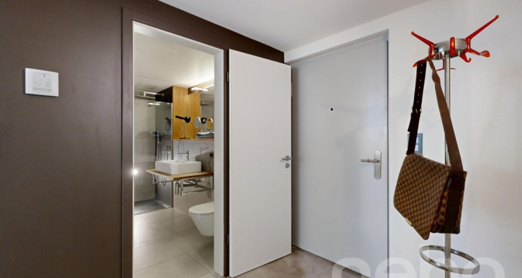 Unique : Duplex contemporain / grand balcon ouest / vue lac partielle image 12