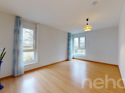 Grosszügige und gepflegte Gartenwohnung an ruhiger Lage image 8