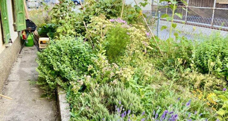 Exceptionnel à moins de 15 minutes de Bulle votre maison de 6 pièces pour Fr. 550.-/mois*  tout compris image 12