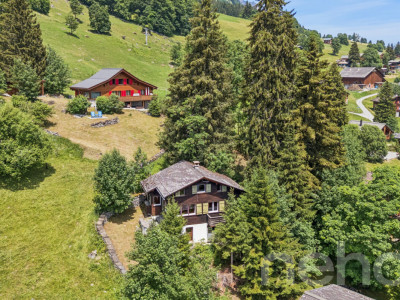 Alpines Chalet mit Einliegerwohnung und traumhafter Bergsicht image 1