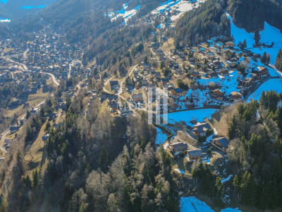 Parcelle constructible avec panorama sur les Dents du Midi image 4